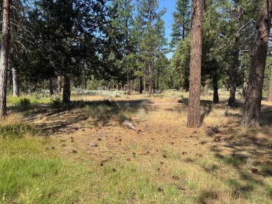 Rare, side by side, golf course access lots offered at a on Lake Shastina Golf Course in California - for sale on GolfHomes.com, golf home, golf lot