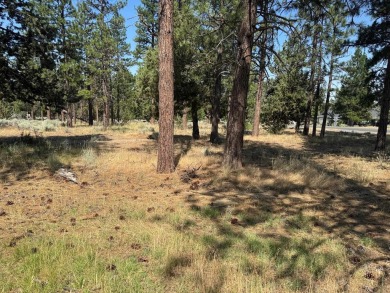 Rare, side by side, golf course access lots offered at a on Lake Shastina Golf Course in California - for sale on GolfHomes.com, golf home, golf lot