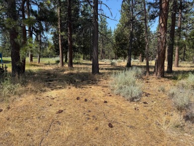 Rare, side by side, golf course access lots offered at a on Lake Shastina Golf Course in California - for sale on GolfHomes.com, golf home, golf lot