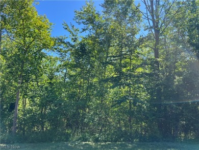 Great building lot and location, Build your dream home today or on Lake Mohawk Golf Club in Ohio - for sale on GolfHomes.com, golf home, golf lot