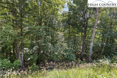 GREAT PRICE ON A LONG RANGE VIEW LOT! CONVENIENT CENTRAL on Beech Mountain Club in North Carolina - for sale on GolfHomes.com, golf home, golf lot