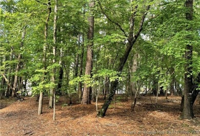 Build your dream home in the desirable gated community of on Carolina Trace Country Club in North Carolina - for sale on GolfHomes.com, golf home, golf lot