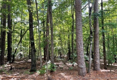 Build your dream home in the desirable gated community of on Carolina Trace Country Club in North Carolina - for sale on GolfHomes.com, golf home, golf lot
