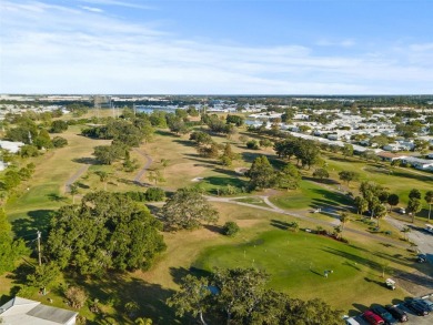 Nestled in the heart of The Mainlands, this stunning dream home on Mainlands Golf Club in Florida - for sale on GolfHomes.com, golf home, golf lot