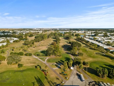 Nestled in the heart of The Mainlands, this stunning dream home on Mainlands Golf Club in Florida - for sale on GolfHomes.com, golf home, golf lot