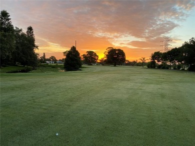 Nestled in the heart of The Mainlands, this stunning dream home on Mainlands Golf Club in Florida - for sale on GolfHomes.com, golf home, golf lot