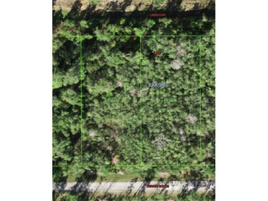 ONE ACRE buildable lot. Build your dream home now. Located in on Indian Lake Estates Golf and Country Club in Florida - for sale on GolfHomes.com, golf home, golf lot