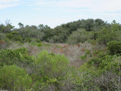 REDUCED - PRIVATE BEACHSIDE SUBDIVISION WITH GULF & BAY ACCESS! on Kiva Dunes Golf Club in Alabama - for sale on GolfHomes.com, golf home, golf lot