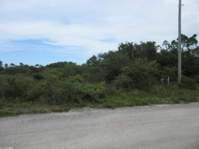 REDUCED - PRIVATE BEACHSIDE SUBDIVISION WITH GULF & BAY ACCESS! on Kiva Dunes Golf Club in Alabama - for sale on GolfHomes.com, golf home, golf lot