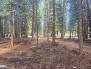 Lovely, level lot, located in a quiet area of the Lake Almanor on Lake Almanor West Golf Course in California - for sale on GolfHomes.com, golf home, golf lot