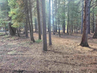 Lovely, level lot, located in a quiet area of the Lake Almanor on Lake Almanor West Golf Course in California - for sale on GolfHomes.com, golf home, golf lot