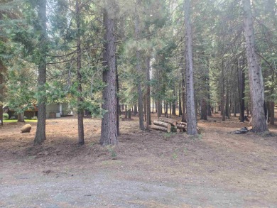 Lovely, level lot, located in a quiet area of the Lake Almanor on Lake Almanor West Golf Course in California - for sale on GolfHomes.com, golf home, golf lot