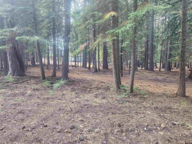Lovely, level lot, located in a quiet area of the Lake Almanor on Lake Almanor West Golf Course in California - for sale on GolfHomes.com, golf home, golf lot