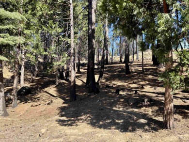 Fantastic opportunity to own a single-family lot in the on Lake Almanor West Golf Course in California - for sale on GolfHomes.com, golf home, golf lot