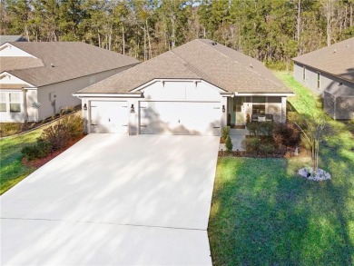 Welcome to your almost new dream home (2022) in the historic on The Club At Osprey Cove in Georgia - for sale on GolfHomes.com, golf home, golf lot