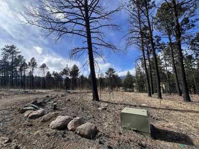 Spectacular views and peaceful setting tucked away near the end on Pendaries Village Community Assoc. in New Mexico - for sale on GolfHomes.com, golf home, golf lot