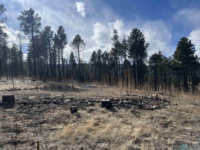 Spectacular views and peaceful setting tucked away near the end on Pendaries Village Community Assoc. in New Mexico - for sale on GolfHomes.com, golf home, golf lot