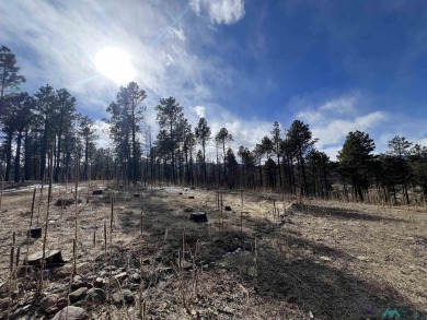 Spectacular views and peaceful setting tucked away near the end on Pendaries Village Community Assoc. in New Mexico - for sale on GolfHomes.com, golf home, golf lot