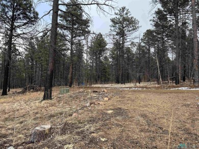 Spectacular views and peaceful setting tucked away near the end on Pendaries Village Community Assoc. in New Mexico - for sale on GolfHomes.com, golf home, golf lot