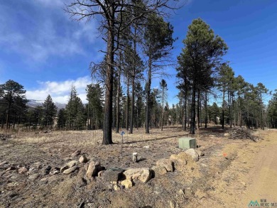 Spectacular views and peaceful setting tucked away near the end on Pendaries Village Community Assoc. in New Mexico - for sale on GolfHomes.com, golf home, golf lot