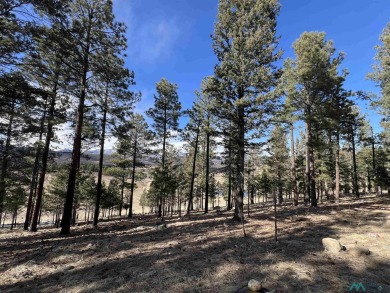 Spectacular views and peaceful setting tucked away near the end on Pendaries Village Community Assoc. in New Mexico - for sale on GolfHomes.com, golf home, golf lot