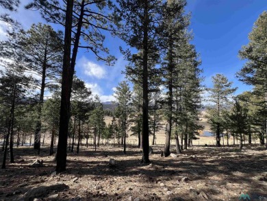 Spectacular views and peaceful setting tucked away near the end on Pendaries Village Community Assoc. in New Mexico - for sale on GolfHomes.com, golf home, golf lot