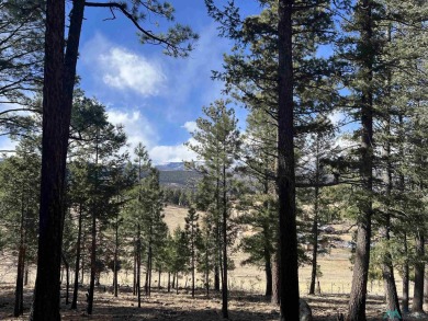 Spectacular views and peaceful setting tucked away near the end on Pendaries Village Community Assoc. in New Mexico - for sale on GolfHomes.com, golf home, golf lot