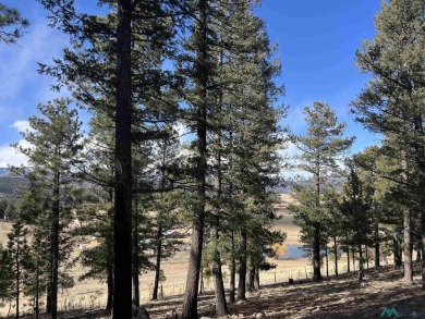 Spectacular views and peaceful setting tucked away near the end on Pendaries Village Community Assoc. in New Mexico - for sale on GolfHomes.com, golf home, golf lot