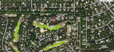Build your dream estate home on this exceptional golf course on Black Diamond Ranch Golf Course in Florida - for sale on GolfHomes.com, golf home, golf lot