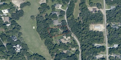 Build your dream estate home on this exceptional golf course on Black Diamond Ranch Golf Course in Florida - for sale on GolfHomes.com, golf home, golf lot
