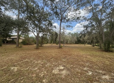 Build your dream estate home on this exceptional golf course on Black Diamond Ranch Golf Course in Florida - for sale on GolfHomes.com, golf home, golf lot