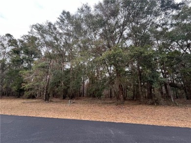 Check out this lovely 0.61 acre homesite that backs up to the on Sapelo Hammock Golf Club in Georgia - for sale on GolfHomes.com, golf home, golf lot