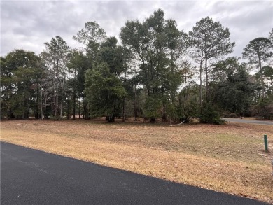Check out this lovely 0.61 acre homesite that backs up to the on Sapelo Hammock Golf Club in Georgia - for sale on GolfHomes.com, golf home, golf lot