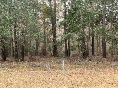 Check out this lovely 0.61 acre homesite that backs up to the on Sapelo Hammock Golf Club in Georgia - for sale on GolfHomes.com, golf home, golf lot