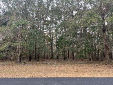 Check out this lovely 0.61 acre homesite that backs up to the on Sapelo Hammock Golf Club in Georgia - for sale on GolfHomes.com, golf home, golf lot