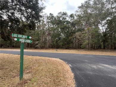 Check out this lovely 0.61 acre homesite that backs up to the on Sapelo Hammock Golf Club in Georgia - for sale on GolfHomes.com, golf home, golf lot