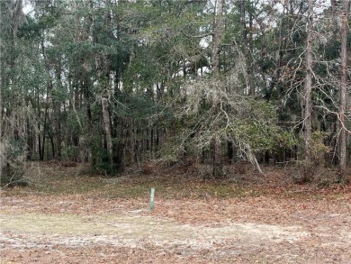 Check out this lovely 0.7 acre homesite that backs up to the on Sapelo Hammock Golf Club in Georgia - for sale on GolfHomes.com, golf home, golf lot