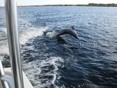 Rare opportunity to own 160' of Waterfront on a true DOUBLE on Rotonda Golf and Country Club - Long Marsh  in Florida - for sale on GolfHomes.com, golf home, golf lot