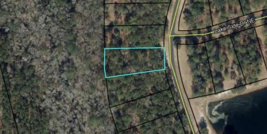 Check out this lovely 0.7 acre homesite that backs up to the on Sapelo Hammock Golf Club in Georgia - for sale on GolfHomes.com, golf home, golf lot