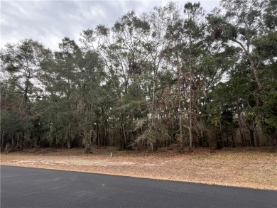 Check out this lovely 0.7 acre homesite that backs up to the on Sapelo Hammock Golf Club in Georgia - for sale on GolfHomes.com, golf home, golf lot