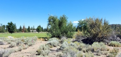 SCENIC GOLF COURSE LOT with MT. SHASTA VIEW ~ Build Your Dream on Lake Shastina Golf Course in California - for sale on GolfHomes.com, golf home, golf lot