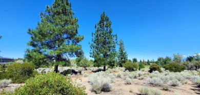 SCENIC GOLF COURSE LOT with MT. SHASTA VIEW ~ Build Your Dream on Lake Shastina Golf Course in California - for sale on GolfHomes.com, golf home, golf lot