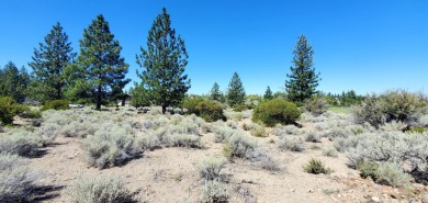 SCENIC GOLF COURSE LOT with MT. SHASTA VIEW ~ Build Your Dream on Lake Shastina Golf Course in California - for sale on GolfHomes.com, golf home, golf lot