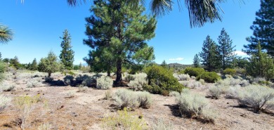 SCENIC GOLF COURSE LOT with MT. SHASTA VIEW ~ Build Your Dream on Lake Shastina Golf Course in California - for sale on GolfHomes.com, golf home, golf lot