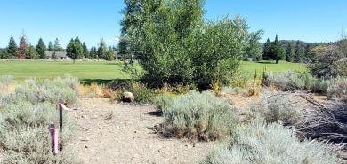 SCENIC GOLF COURSE LOT with MT. SHASTA VIEW ~ Build Your Dream on Lake Shastina Golf Course in California - for sale on GolfHomes.com, golf home, golf lot