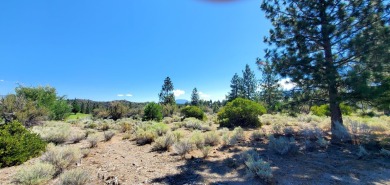 SCENIC GOLF COURSE LOT with MT. SHASTA VIEW ~ Build Your Dream on Lake Shastina Golf Course in California - for sale on GolfHomes.com, golf home, golf lot