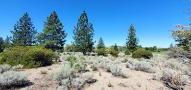 SCENIC GOLF COURSE LOT with MT. SHASTA VIEW ~ Build Your Dream on Lake Shastina Golf Course in California - for sale on GolfHomes.com, golf home, golf lot