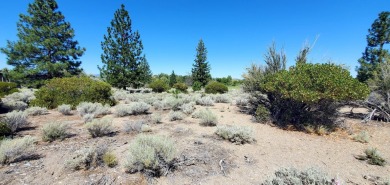 SCENIC GOLF COURSE LOT with MT. SHASTA VIEW ~ Build Your Dream on Lake Shastina Golf Course in California - for sale on GolfHomes.com, golf home, golf lot
