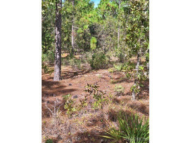 Great opportunity to purchase an .80-acre homesite in the on Citrus Springs Country Club in Florida - for sale on GolfHomes.com, golf home, golf lot