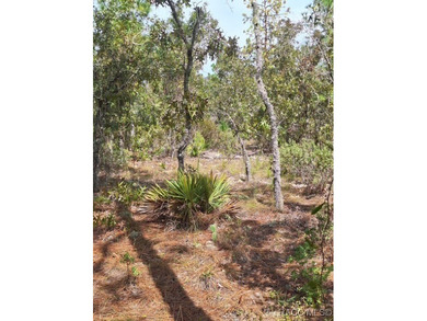 Great opportunity to purchase an .80-acre homesite in the on Citrus Springs Country Club in Florida - for sale on GolfHomes.com, golf home, golf lot